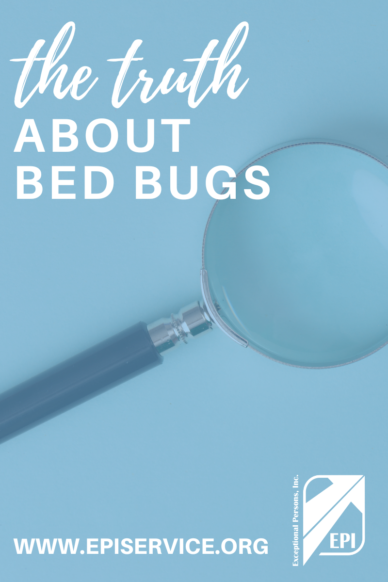 The Truth about Bed Bugs