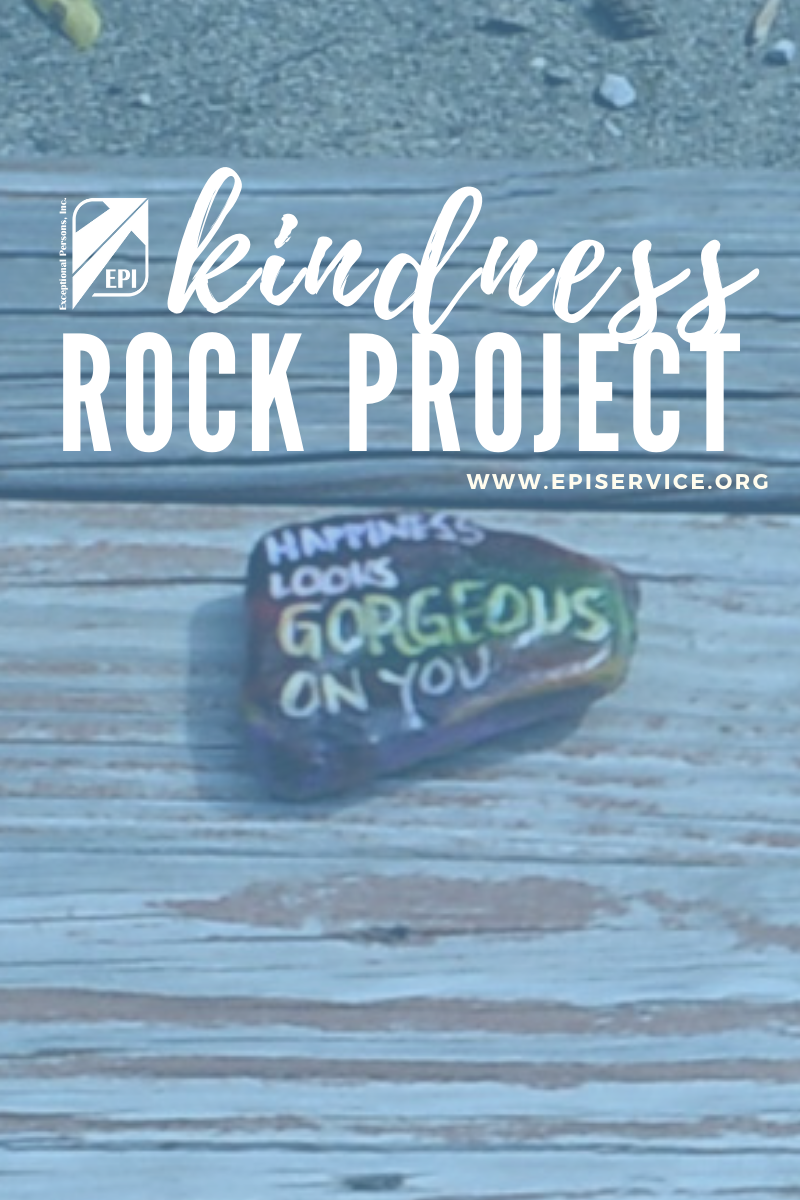 Kindness Rock Project